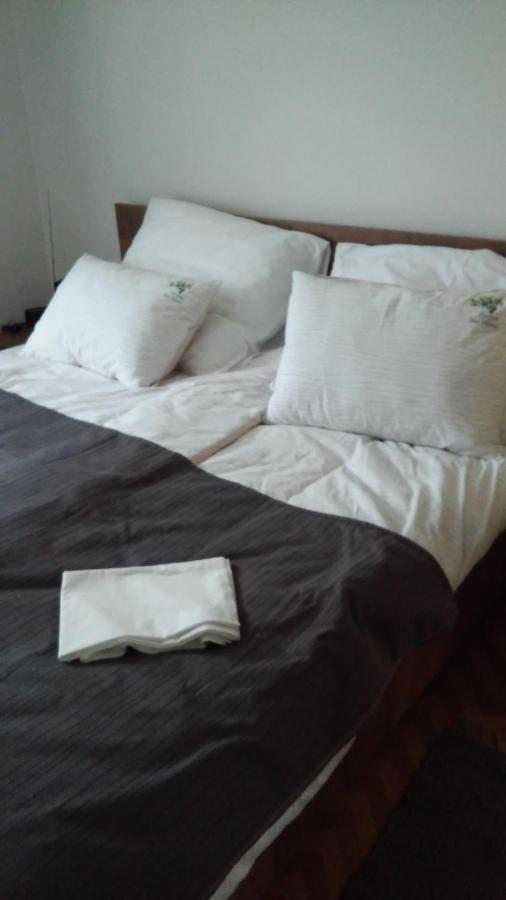 Apartma Med Oljkami Spodnji 波尔托罗 外观 照片